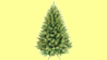 Click to view detail